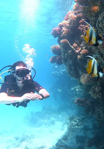Egypt International Diving